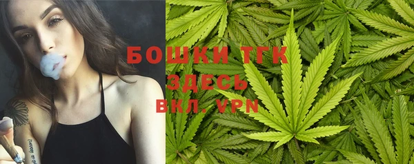 прущая мука Вяземский