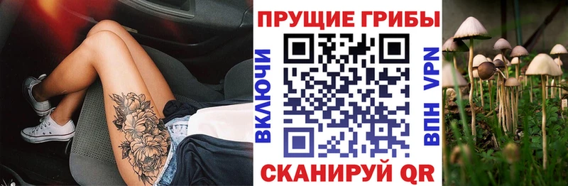 Галлюциногенные грибы Psilocybe  сколько стоит  Александровское 